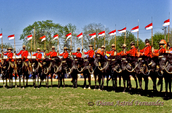 Canada-Royal-Canadian-Mounted-Police-drill-display